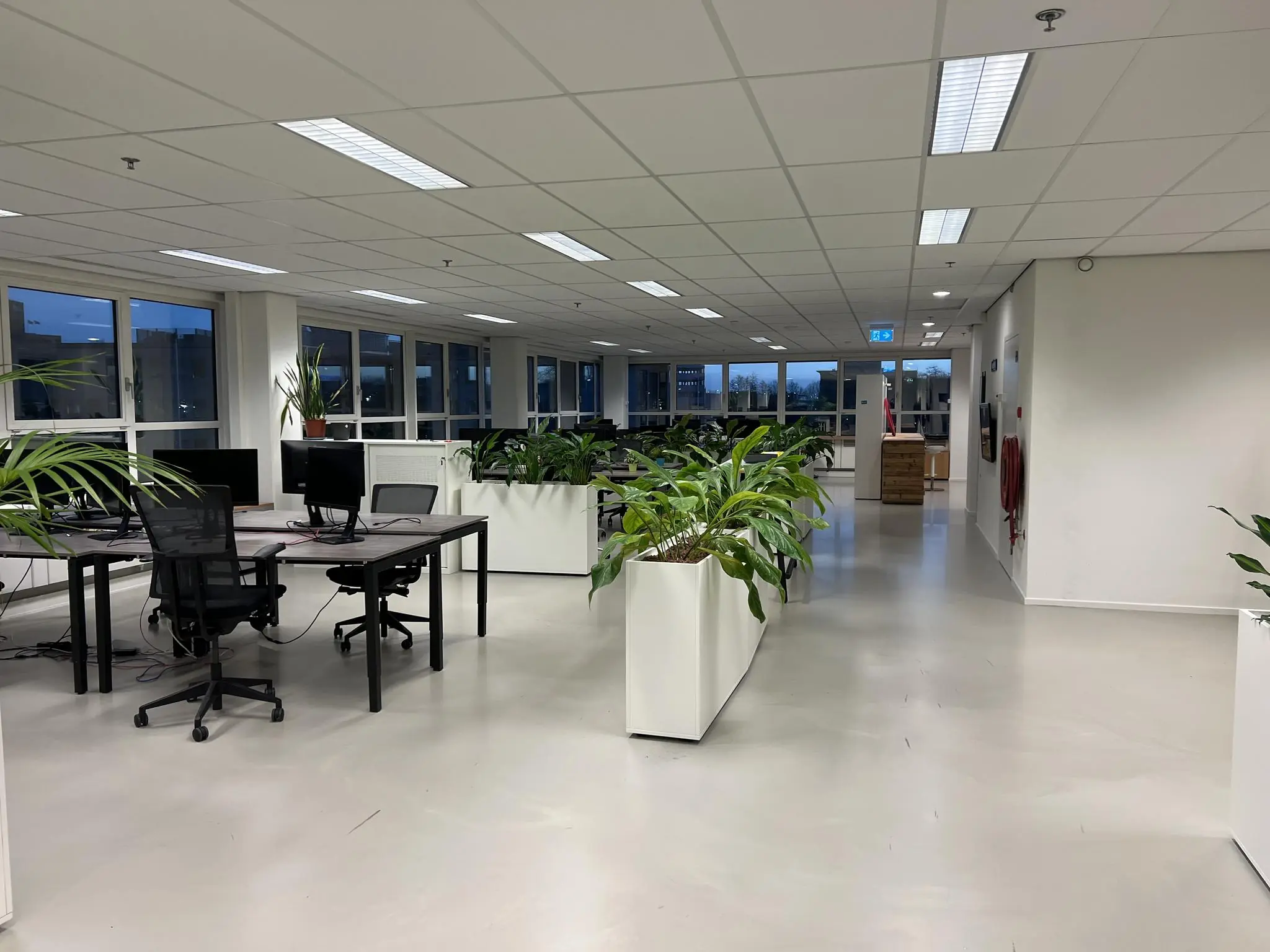 Modern open kantoorinterieur in Rivium Quadrant met bureaus, computers en veel groene planten.